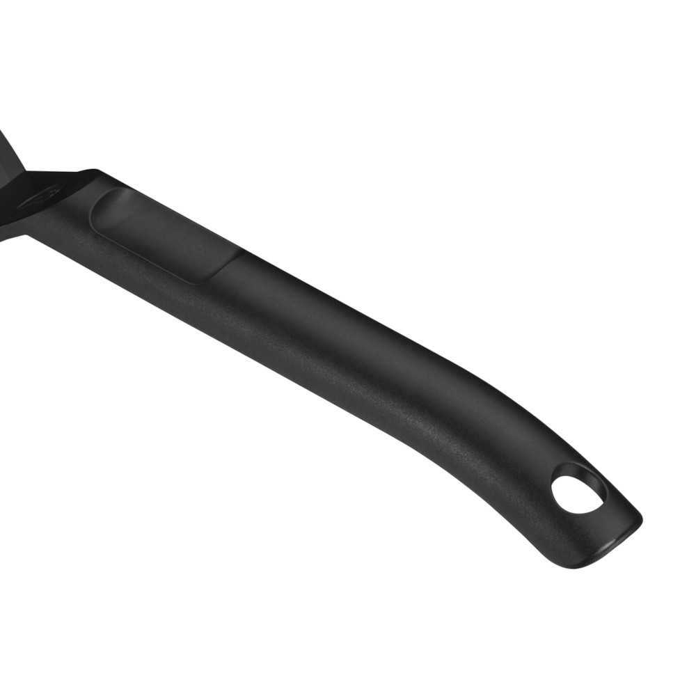 Fish Slice Plastic