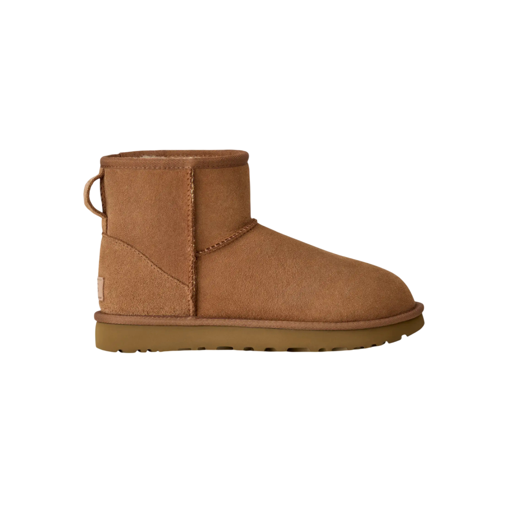 Çizme Ugg