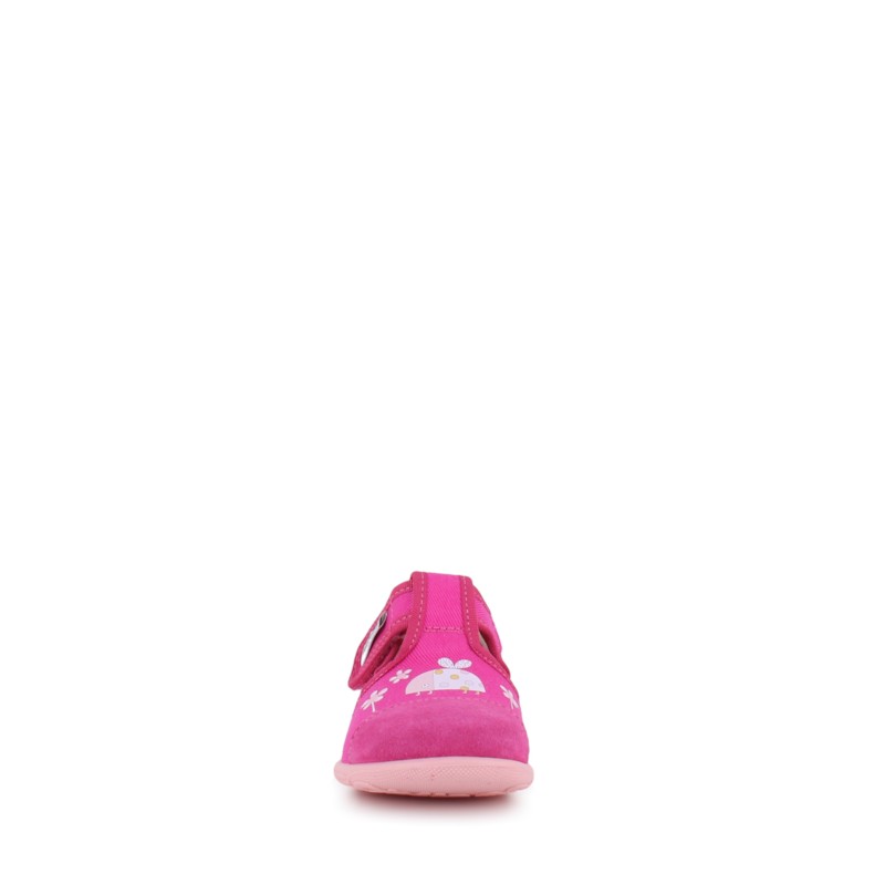 CICIBAN 36433P