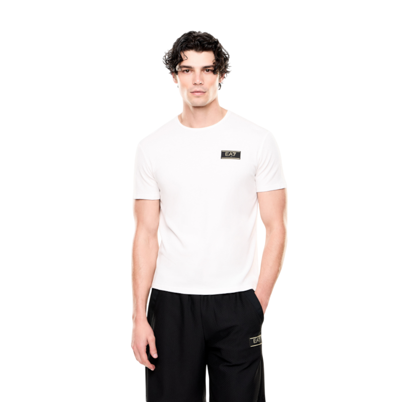 TRAIN PREMIUM LABEL M TEE SS VI PA