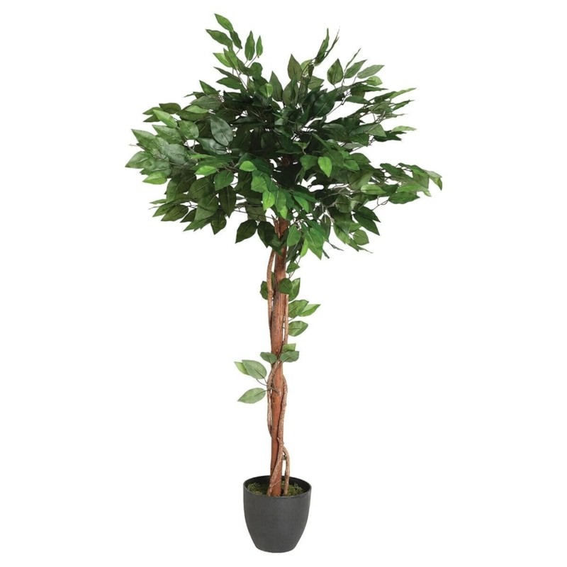Vendmbajtëse