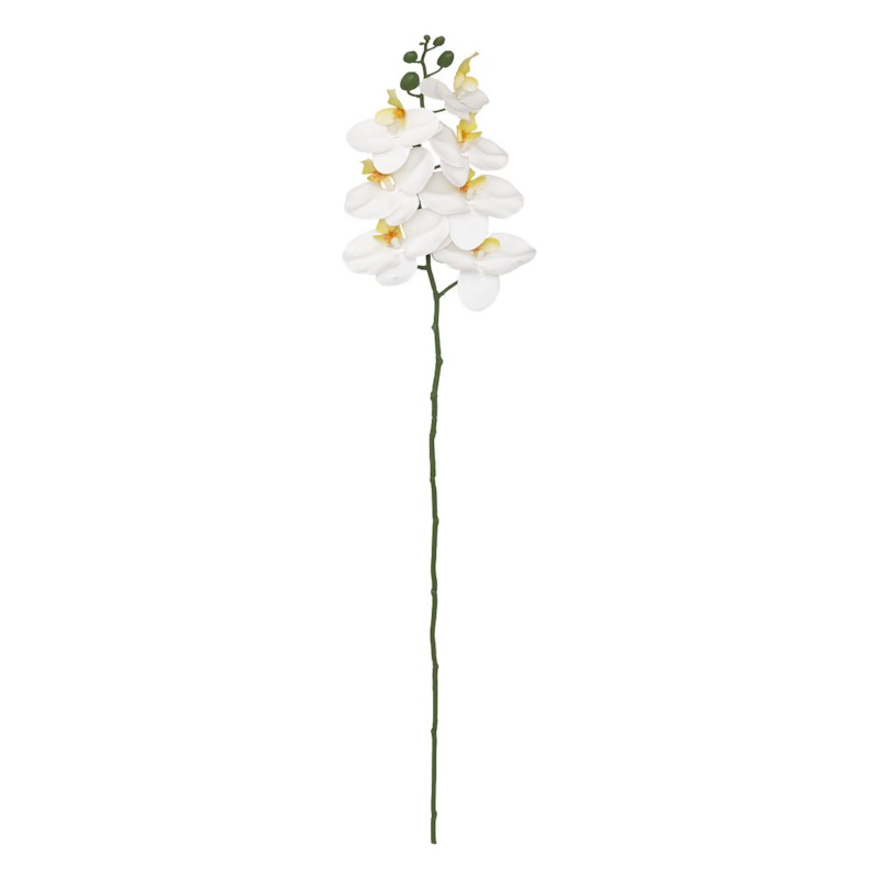 Vendmbajtëse