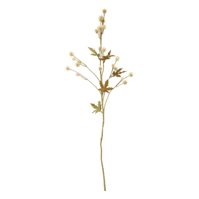Vendmbajtëse