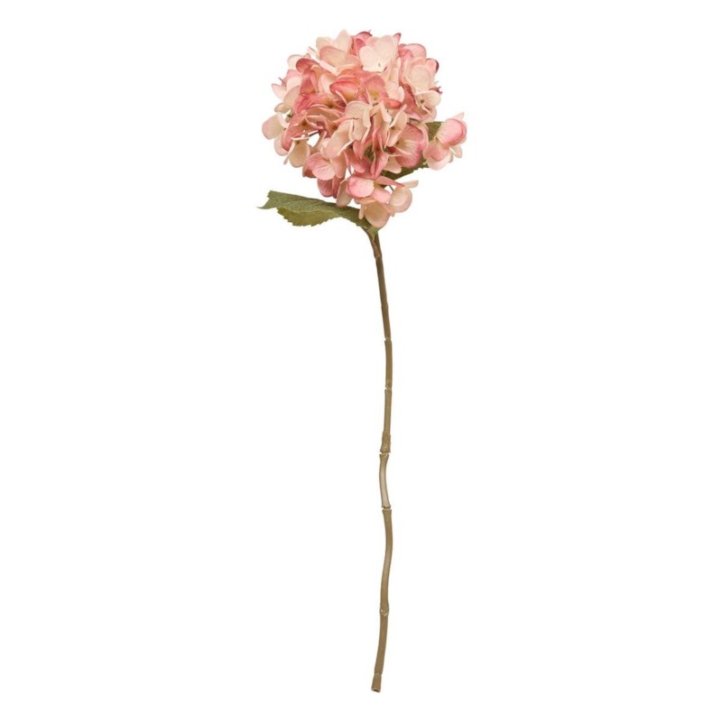 Vendmbajtëse