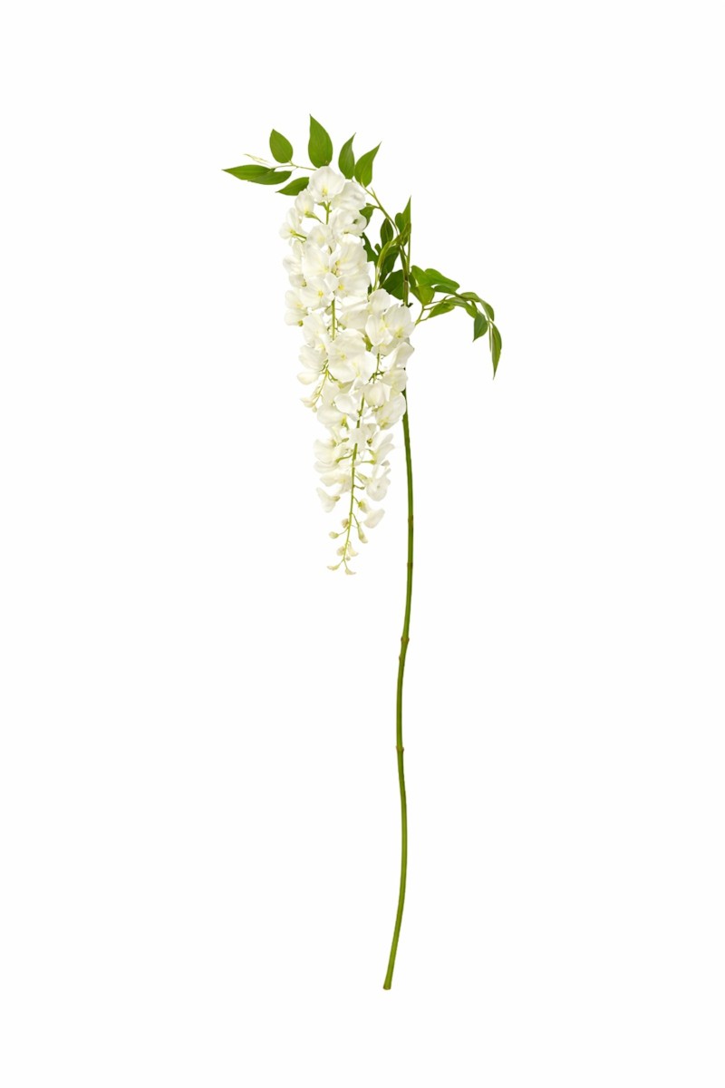 Olia Red D01 – Qiri Aromatik 8