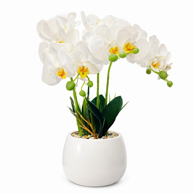 Orchide – Vazo Me Lule 6