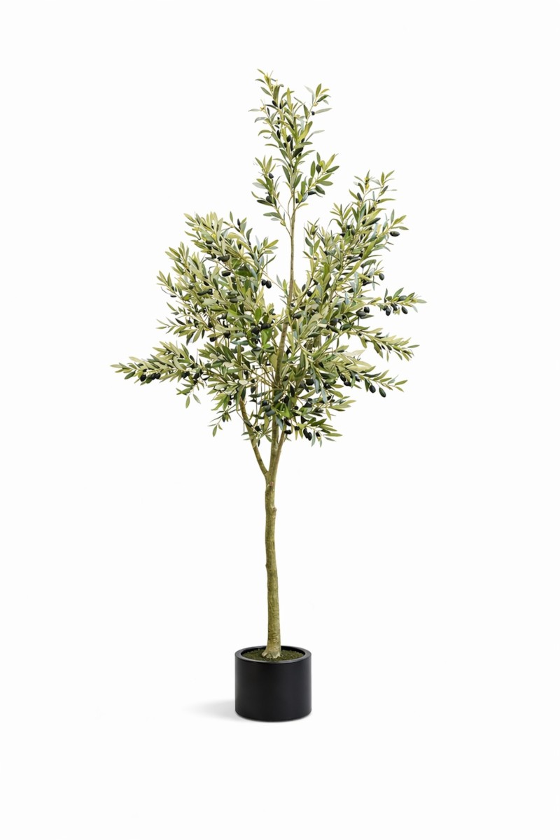 Olive H180 - Vazo Me Lule