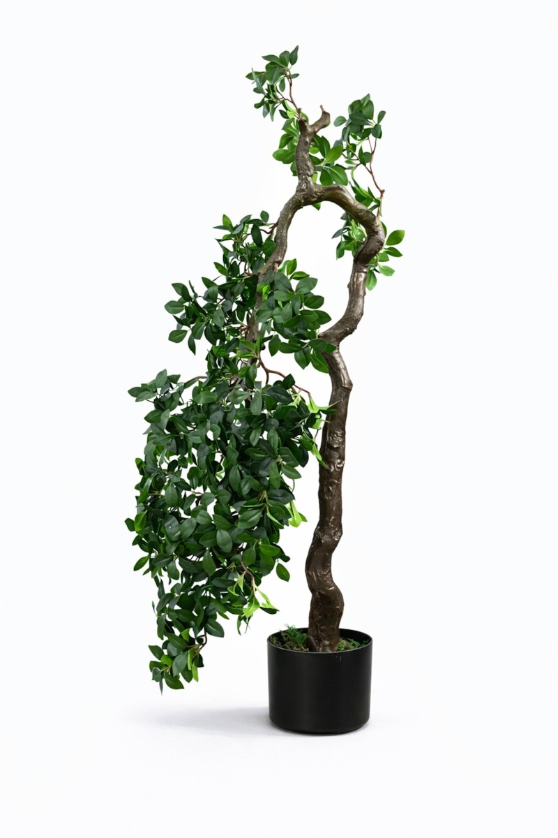 Bonsai H135 - Vazo Me Lule