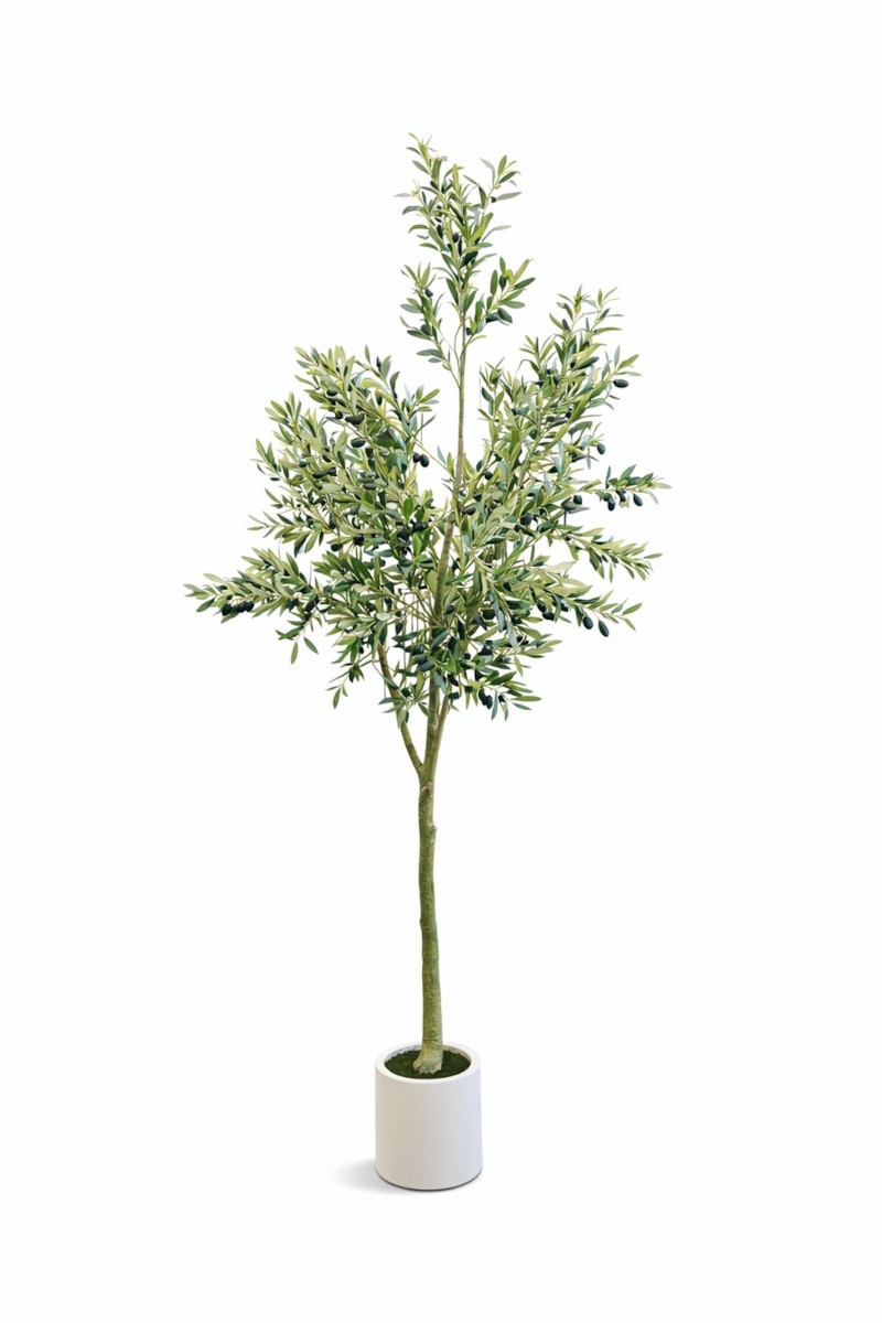 Olive H250 - Vazo Me Lule