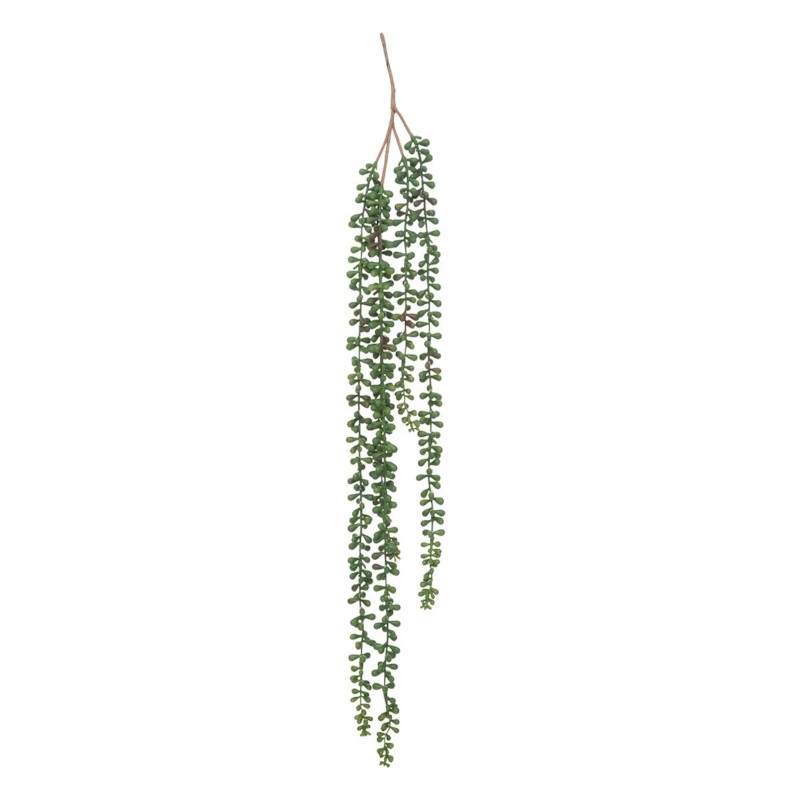 Ragwort H73 – Lule Artificiale 7