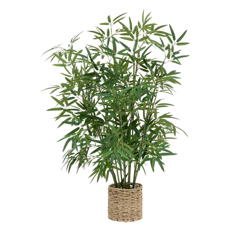 Botanica – Vazo Qelqi 8