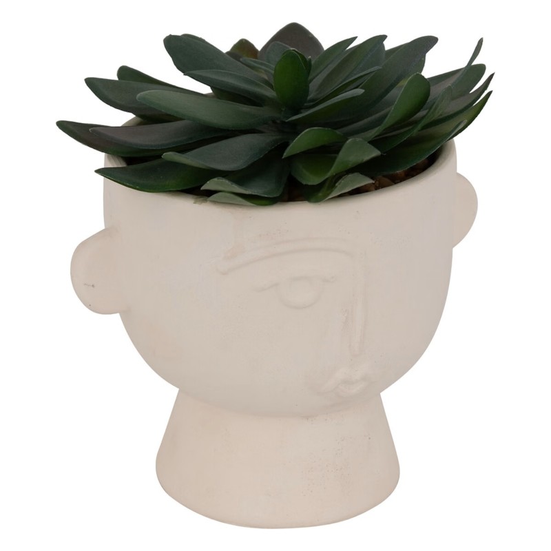 Succulent H22 - Vazo Me Lule
