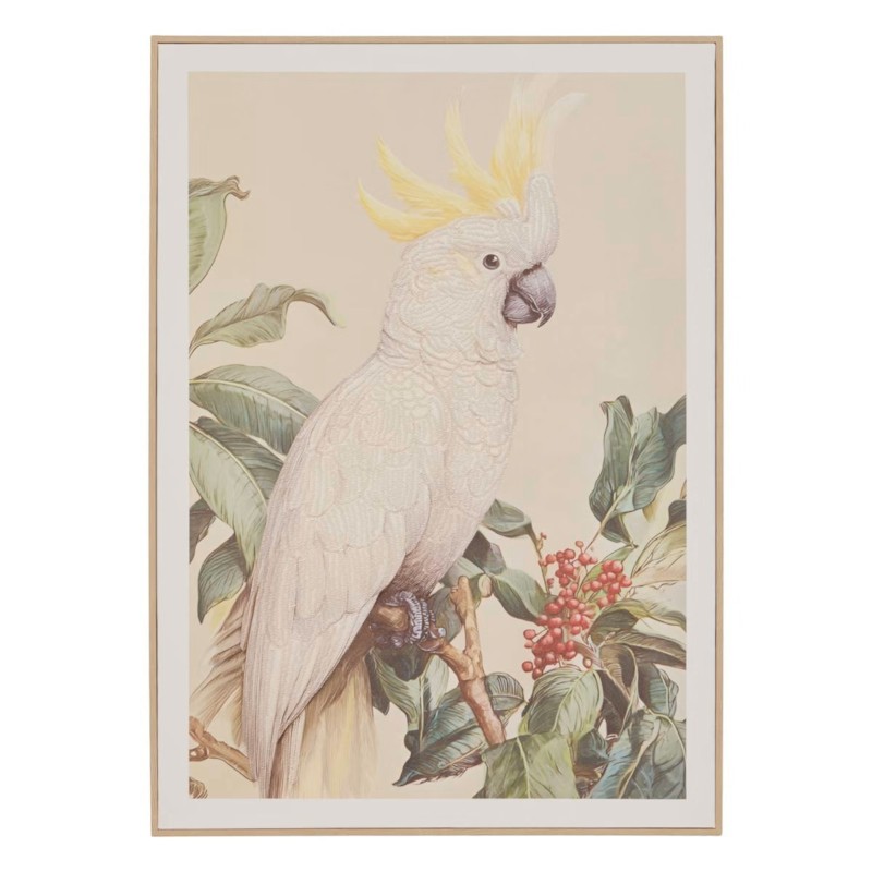 Jean 50X70 - Pikture
