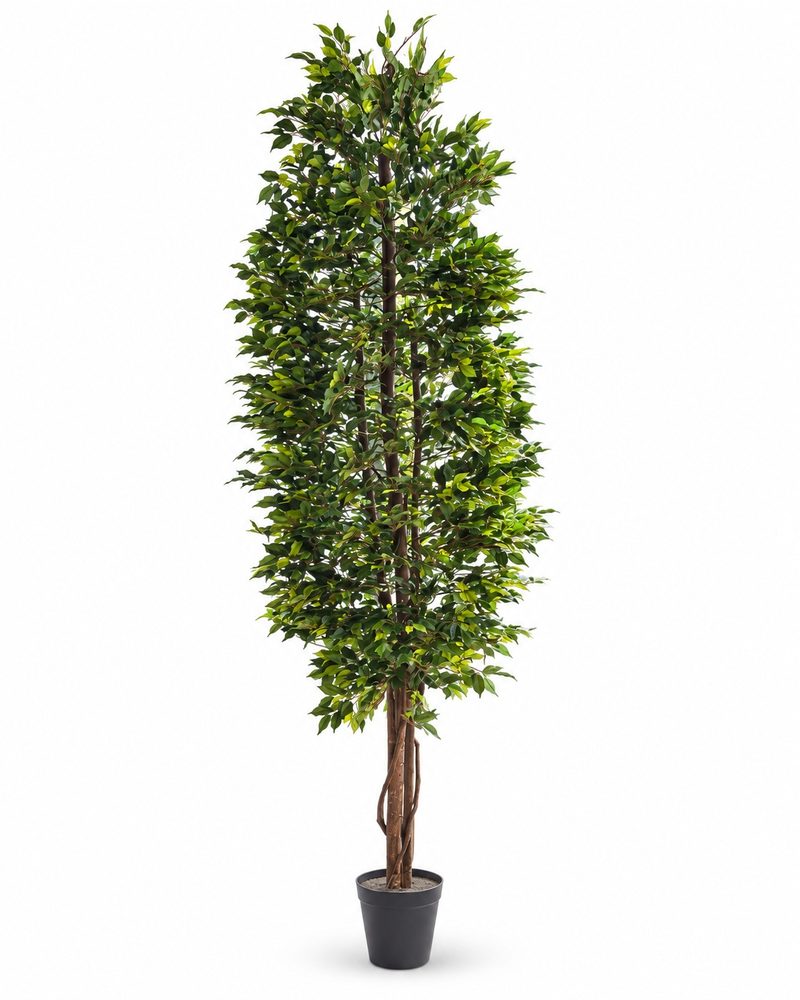 Vazo Me Lule 300Cm