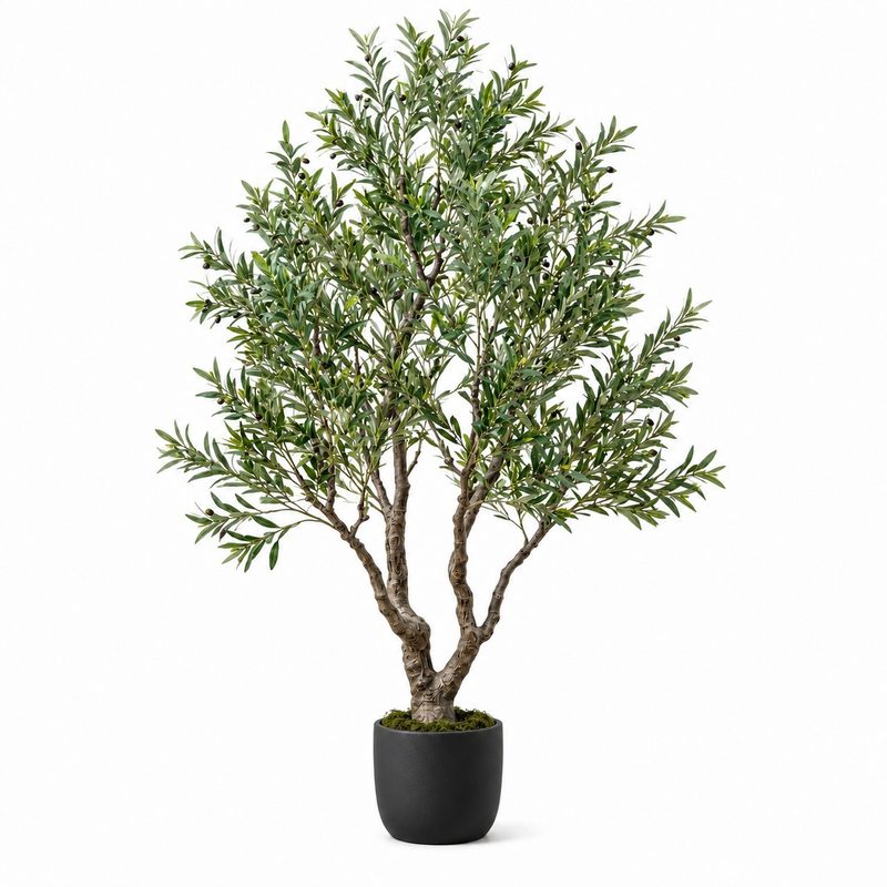 Olive H210 - Vazo Me Lule