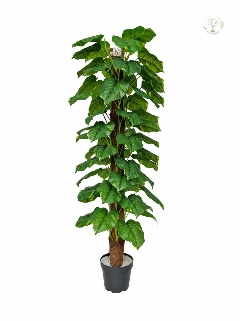 Vazo Me Lule 180Cm