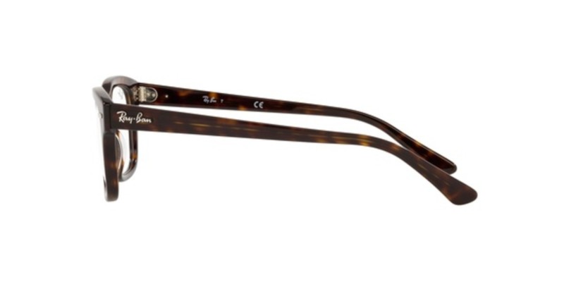 Rayban 5383 2012