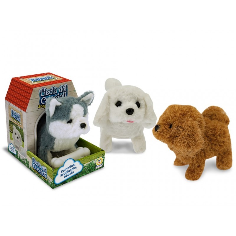 Teo Loder E Bute Qenush Leh Ece Dhe Tund Bishtin 05034620