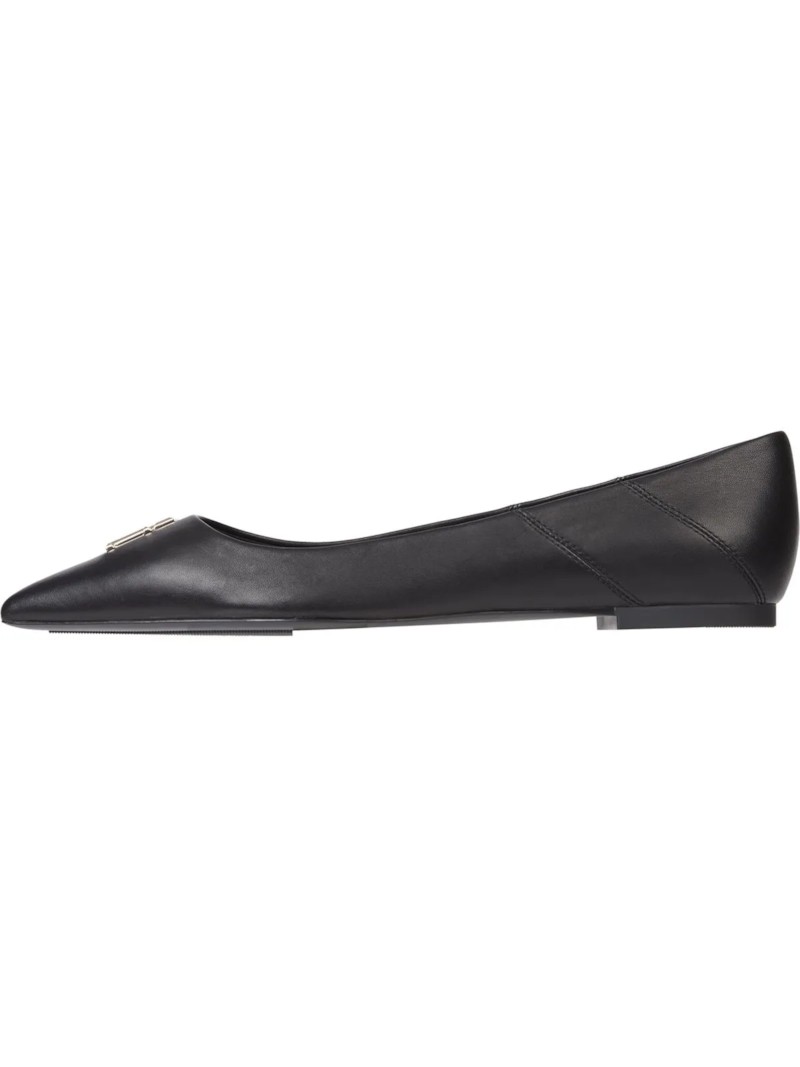 Pointy Chic Ballerina