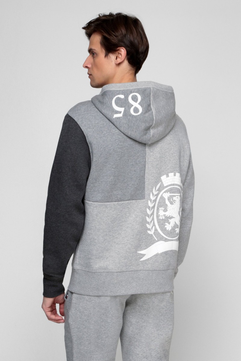 Icon Crest Splice Hoodie thumbnail 2