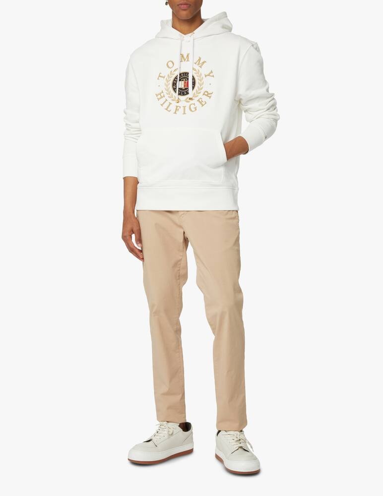 Icon Roundall Graphic Hoody thumbnail 2