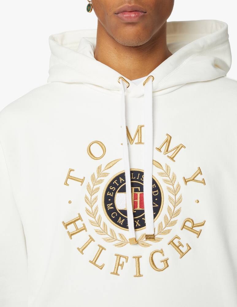 Icon Roundall Graphic Hoody thumbnail 4