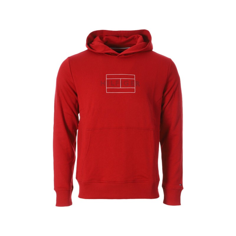 Linear Flag Hoody