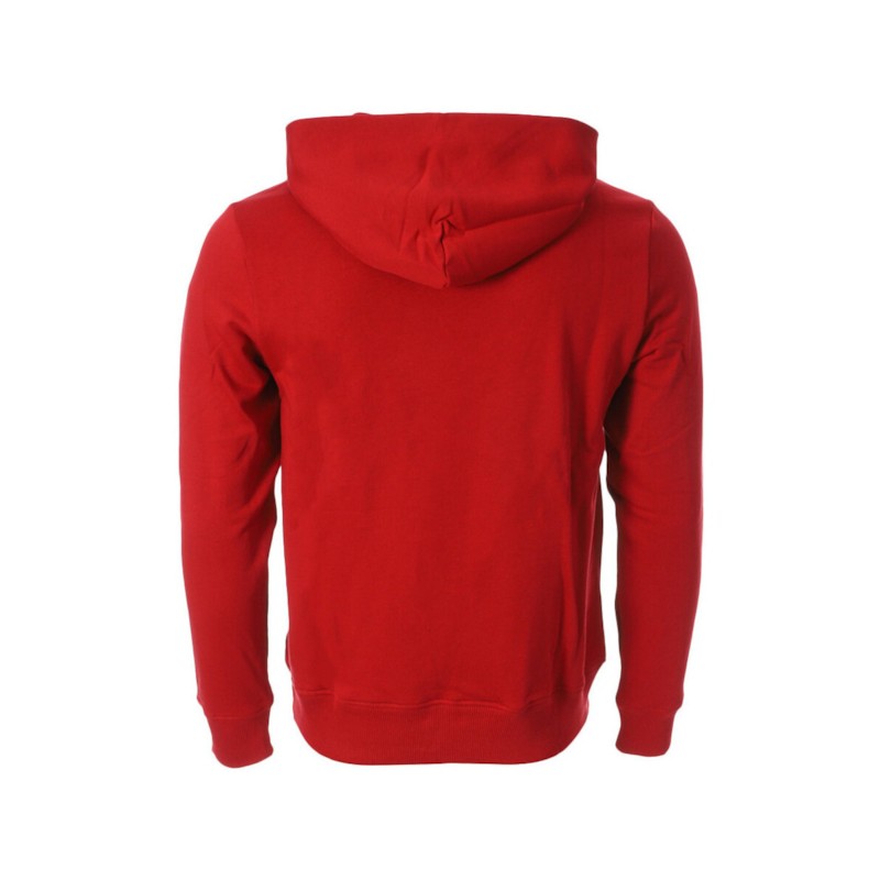 Linear Flag Hoody thumbnail 2