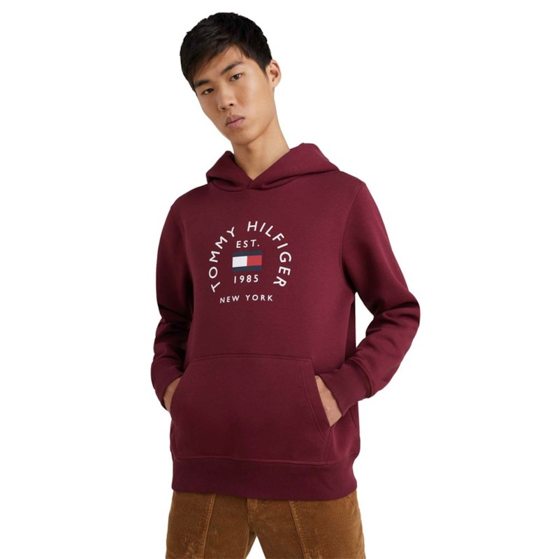 Hilfiger Flag Arch Hoody