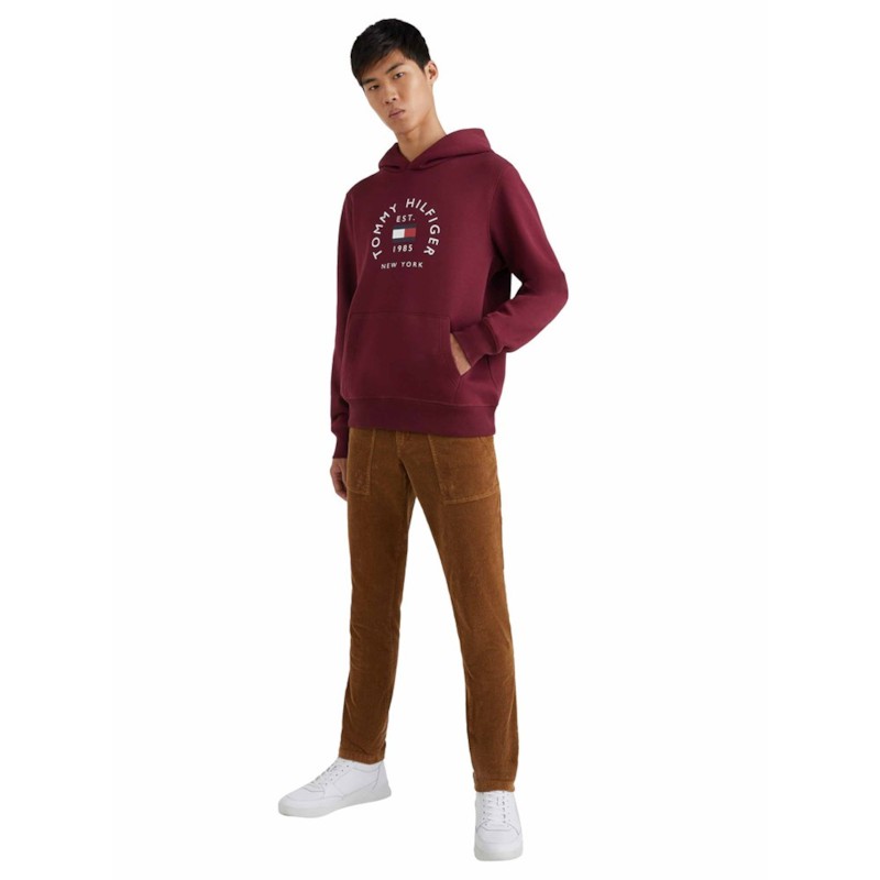 Hilfiger Flag Arch Hoody thumbnail 2