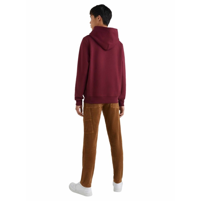 Hilfiger Flag Arch Hoody thumbnail 3