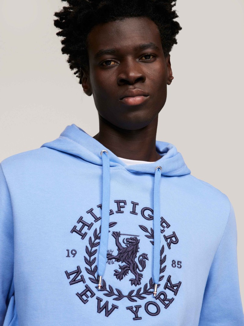 Big Icon Crest Hoodie thumbnail 4
