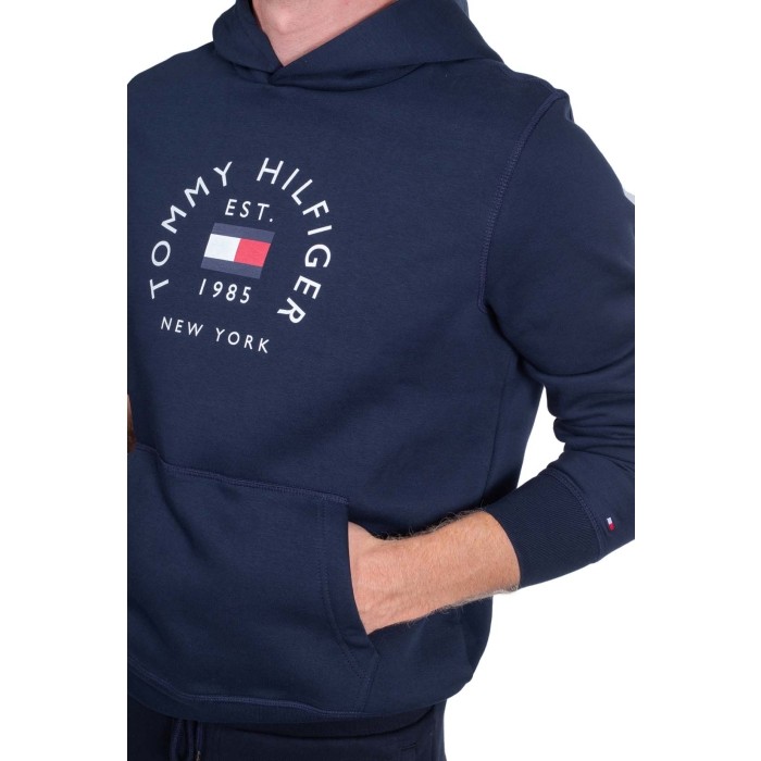 Hilfiger Flag Arch Hoody thumbnail 2