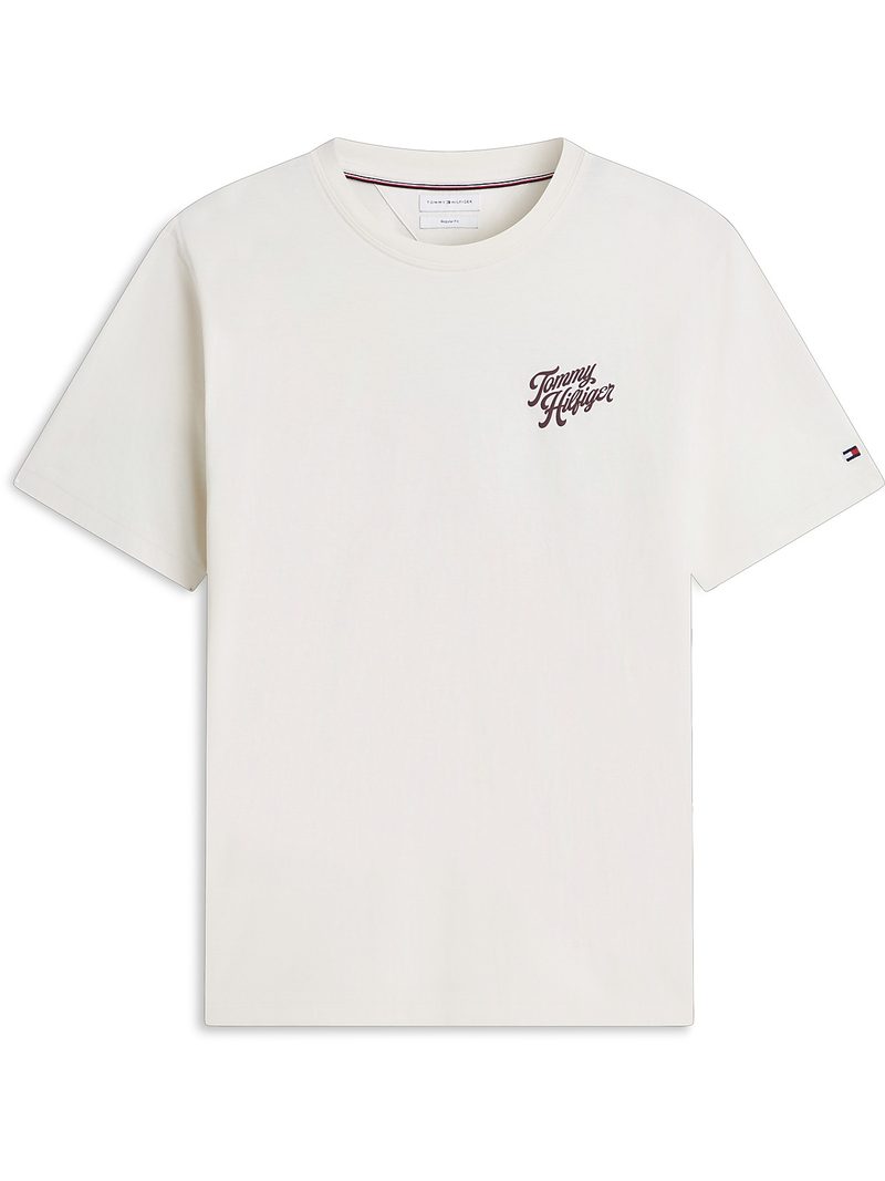 Ic Graphic Back Print Tee