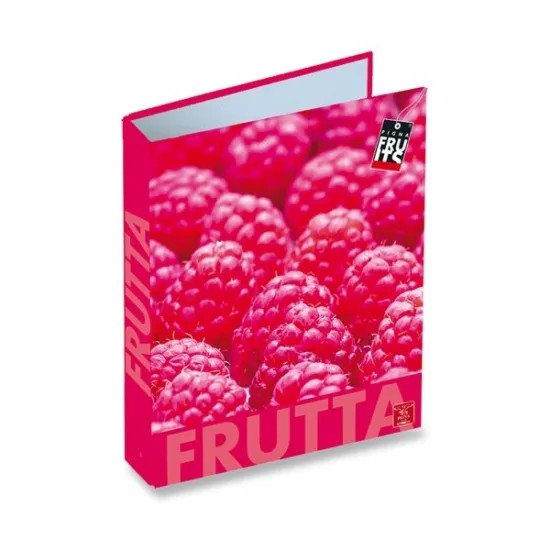 Regjistrator Pigna,Cars