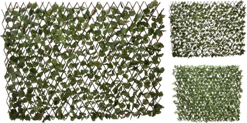 Pjate Servimi Akacia Me Doreze